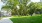 a sidewalk and grass with trees