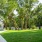 a sidewalk and grass with trees