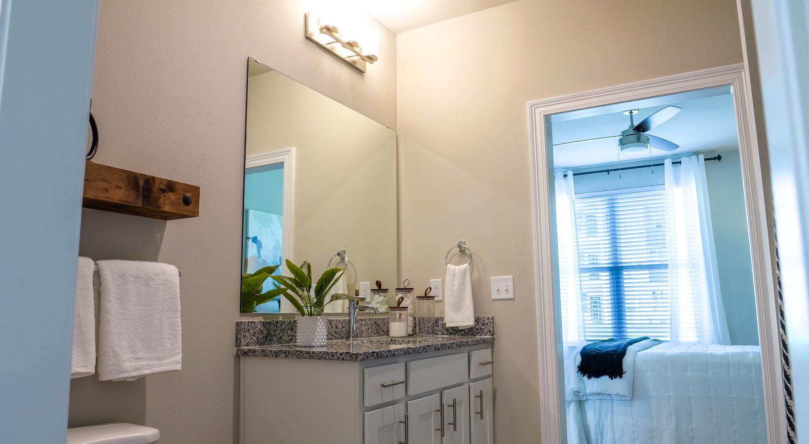 Bathroom options with thoughtful details a bathroom with a sink and a mirror